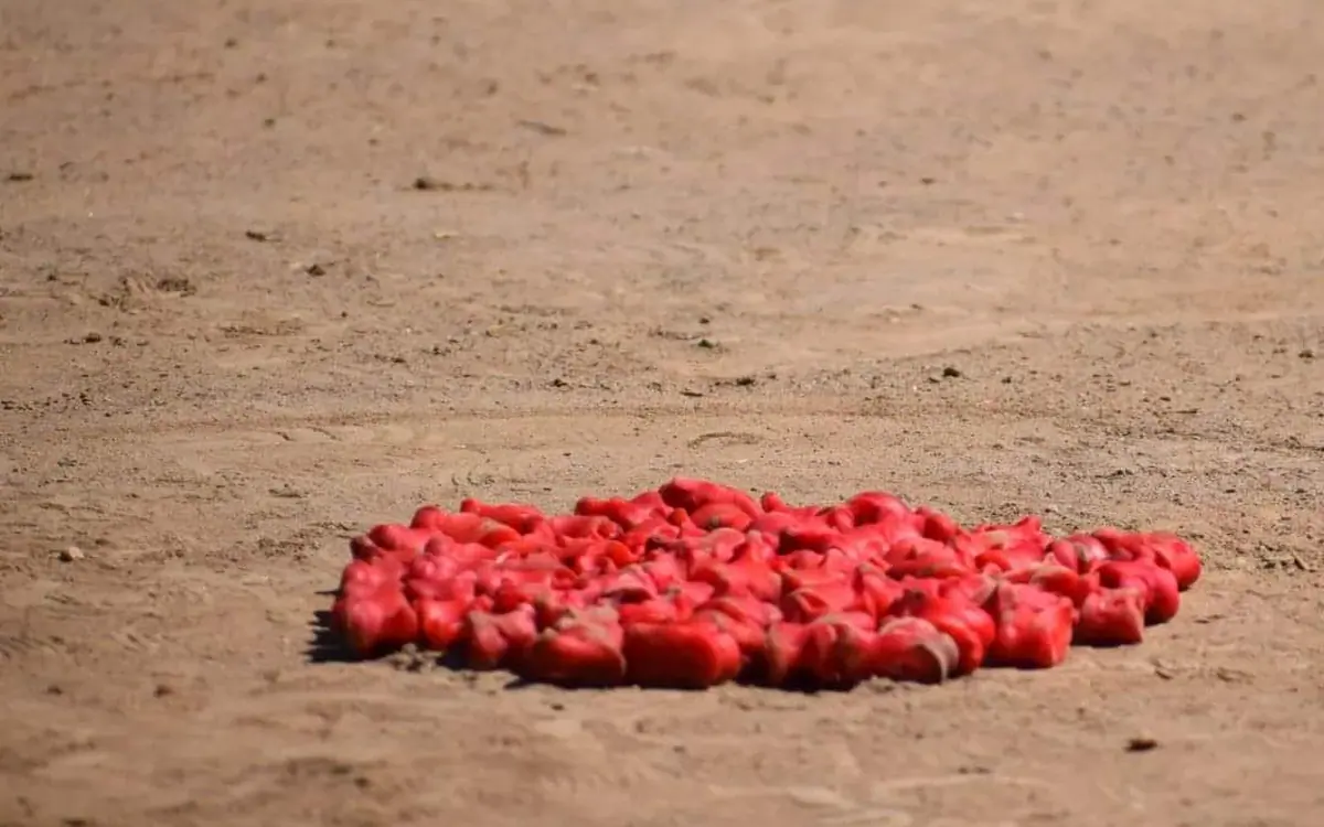 "Ordo" - Kyrgyz national game