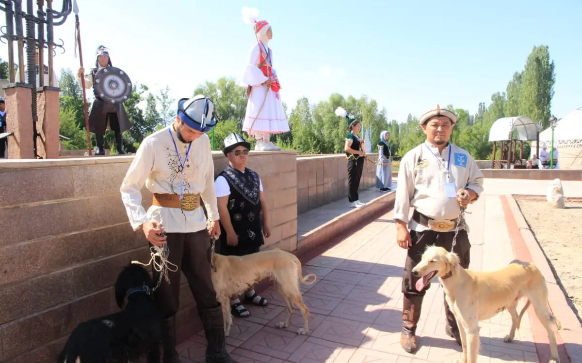 Talas Fest