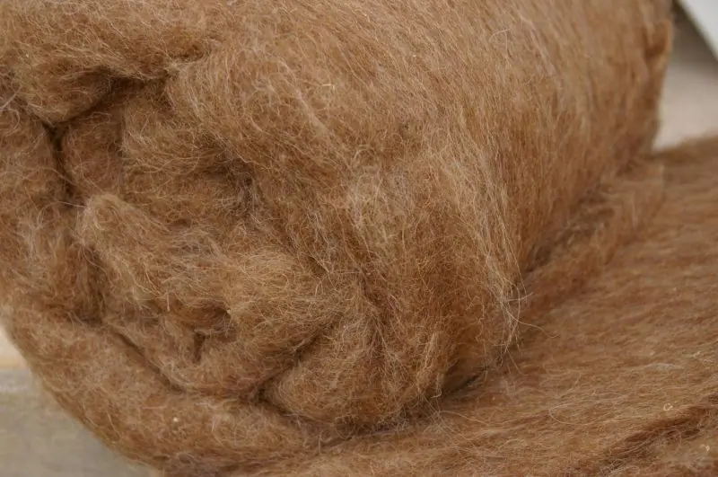 Wool of camel