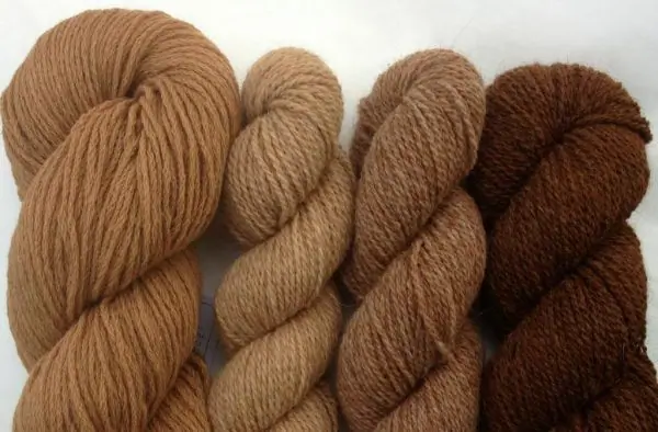 Camel wool
