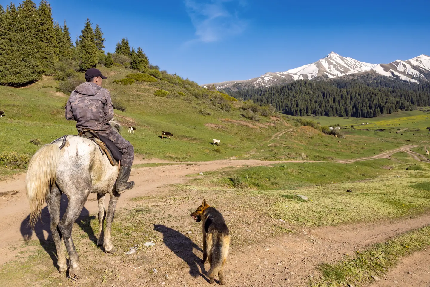 shepherd riding his horse at Siutuu Bulak