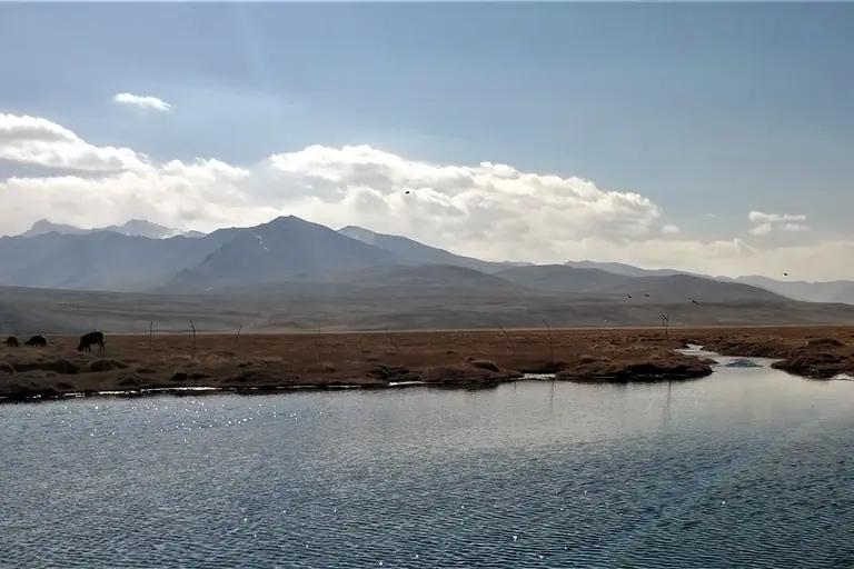 View of Alichur range