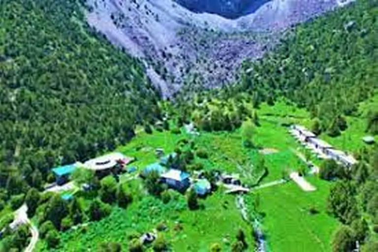 Artuch camp 