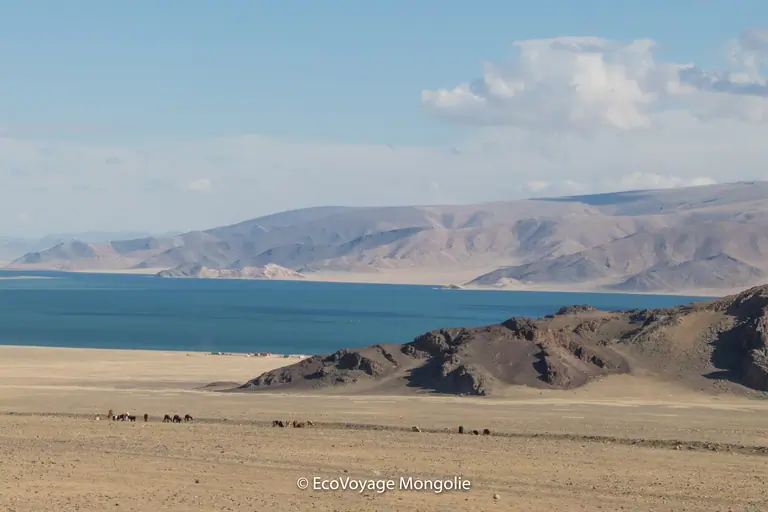 A blue lake in the middle of pasture and mountain of Bayan Ölgii, the sky is light blue with some clouds