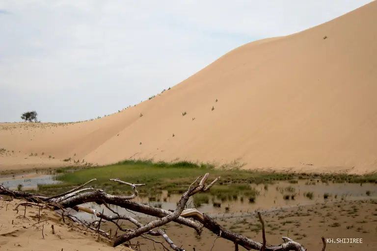 a sandy dune in the small Gobi desert
