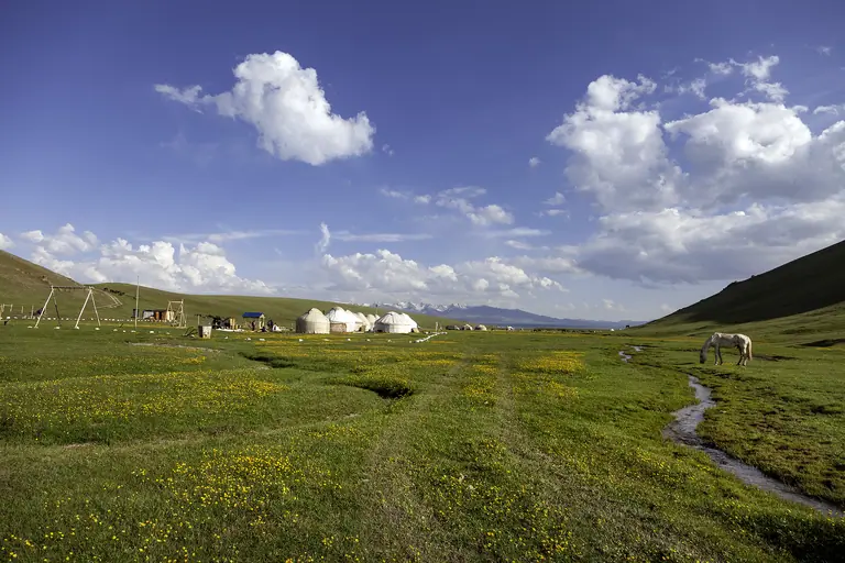 nomadic Kyrgyz yurt camp in the middle of green meadows nearly the shore of the Song Kul lake at 3000 m. alt.