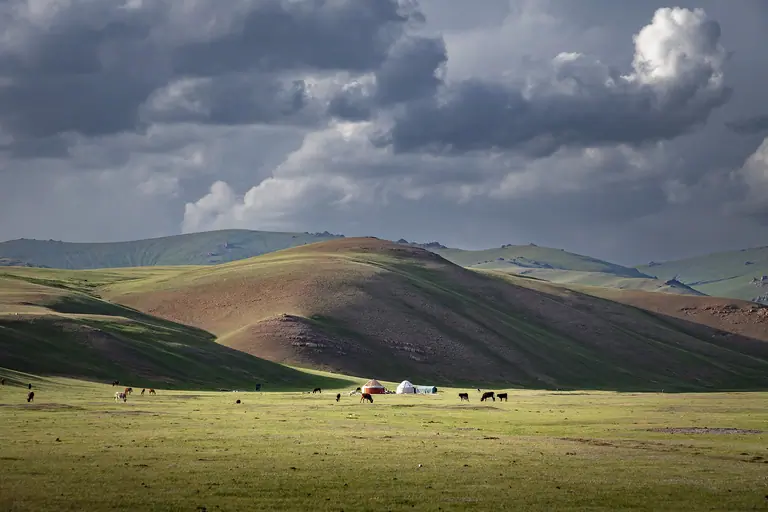 nomadic Kyrgyz yurt camp in the middle of green meadows nearly the shore of the Song Kul lake at 3000 m. alt.