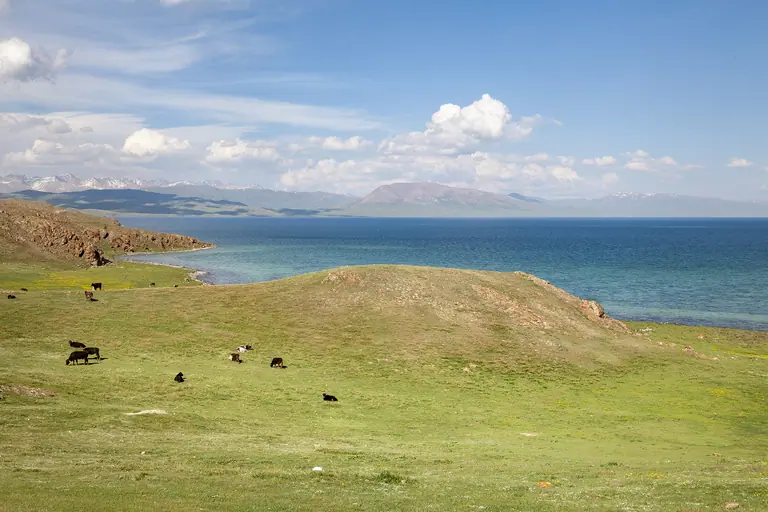 on the shore of the deep blue Song Kul lake