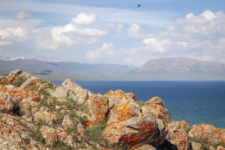 on the shore of the deep blue Song Kul lake