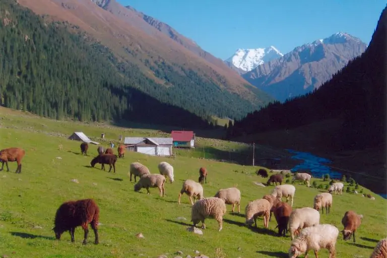 Altyn Arashan valley