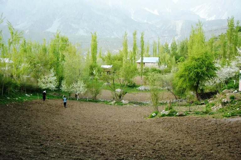 Agriculture in Arslanbob village