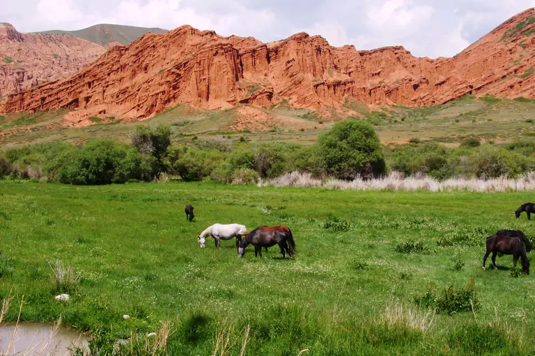 Chong Kyzyl Suu valley