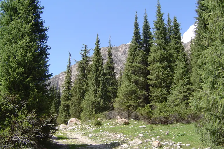 Chong Kyzyl Suu valley