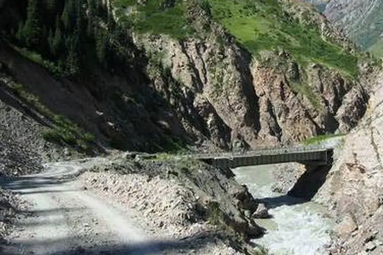 Kichi Naryn