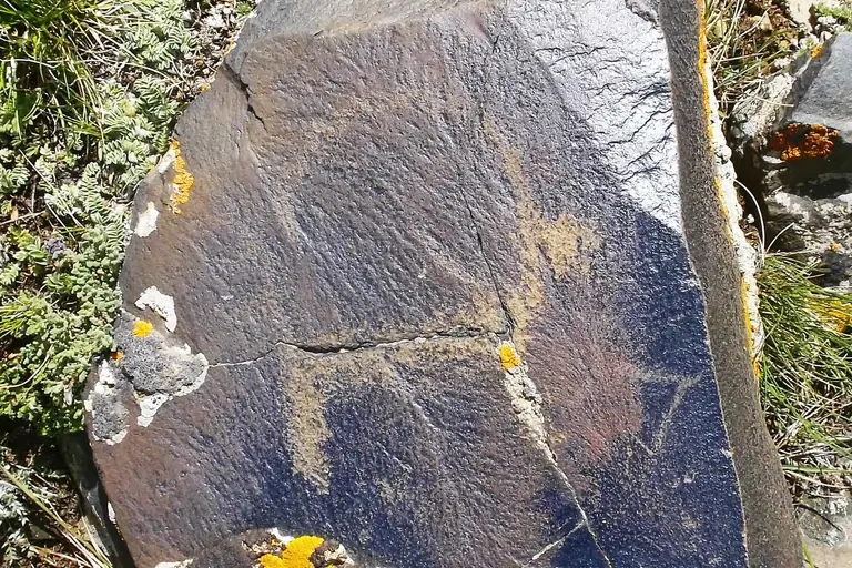 Petroglyph ibex