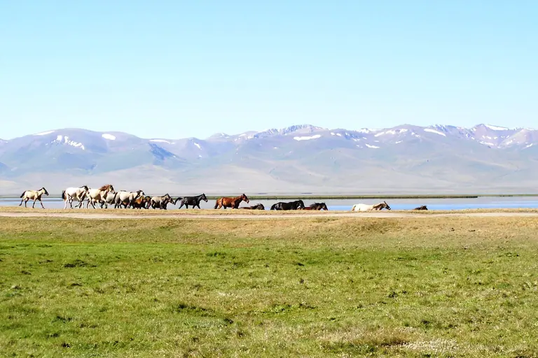 Song Kul's lake and range