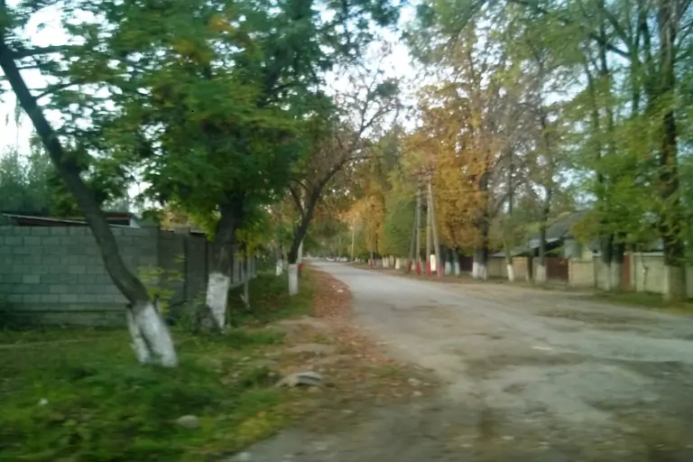 Toktogul street