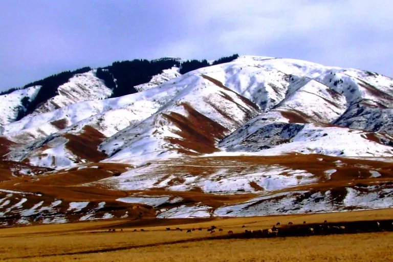 Chong Kemin winter