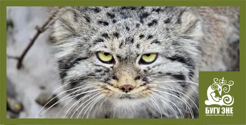 Zoo of Karakol Bugu-Enye Public Foundation