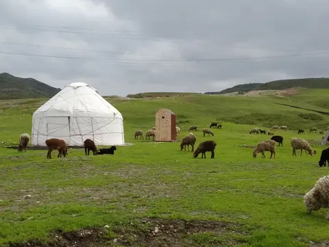 The Farm