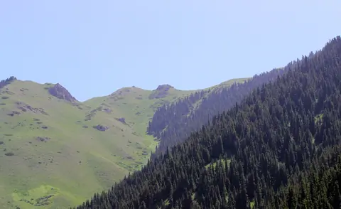 Naryn Chaar valley