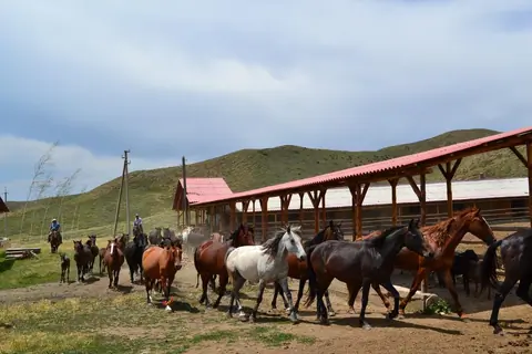 Ferme Kyzyl Tash