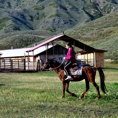 Ferme Kyzyl Tash