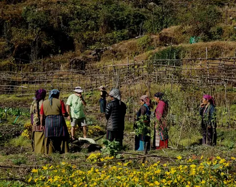 community permaculture garden