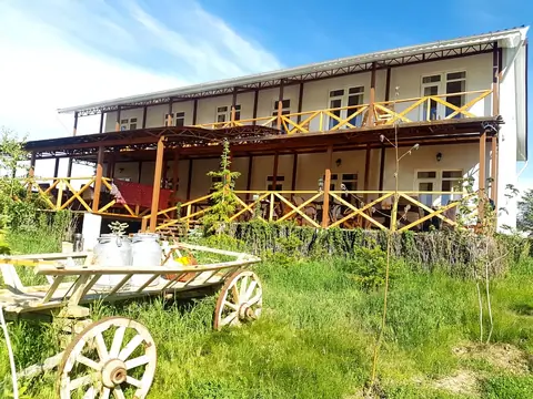 Reina