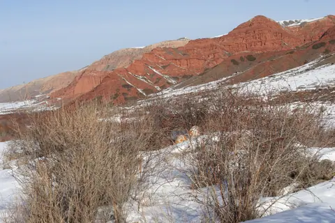 Chong Kizil-Suu