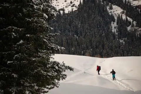 Snowshoeing adventure