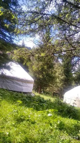 Yurt Camp Suiunduk in Kok-Jaiyk jailoo