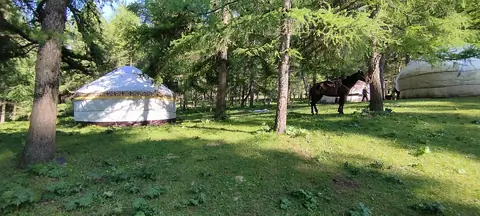 Yurt Camp Talant in Kok-Jaiyk jailoo