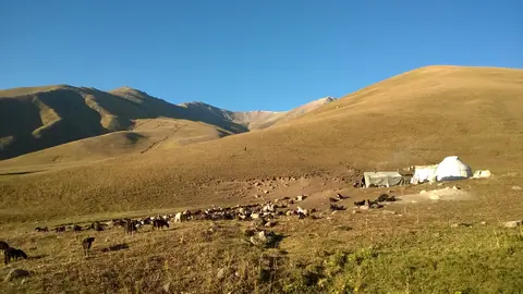 Yurt camp at jailoo Chong Suu, with horses, pasture of Kyzyl Oy village, 