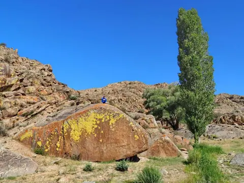 Chiyim-Tash petroglyph is located in Talas village