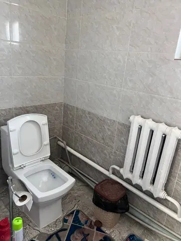 Guesthouse Zhyldyz Saty village