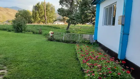 Homestay Kamai