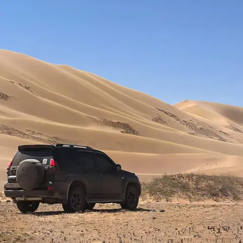 Khongoryn Els, Mongolia