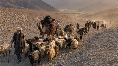 Kuchi nomads moving with their livestock across the rugged terrains of Afghanistan