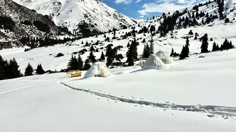 Eki chat yurt camp