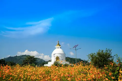 Flowers around a white temple