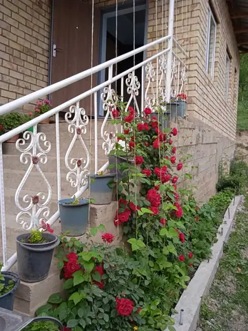 Sabira Guesthouse