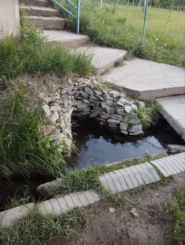 Kanykei Apa