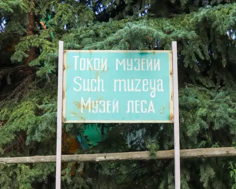 Museum of the Forest