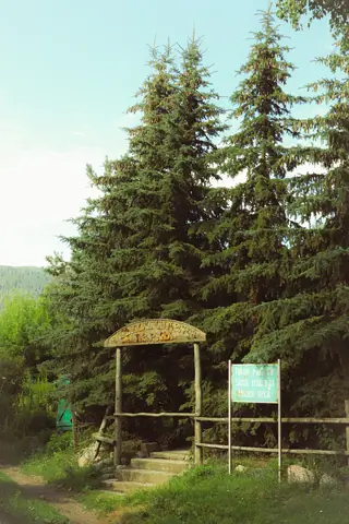 Museum of the Forest