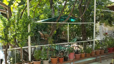 Guesthouse Sonun
