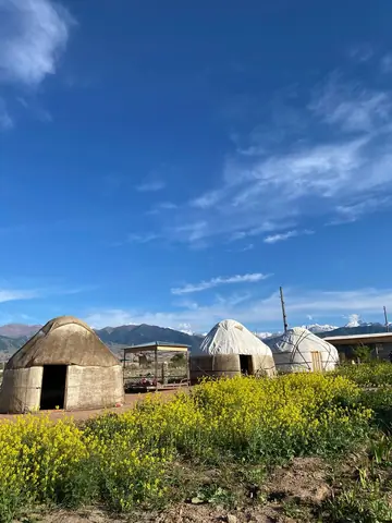 Yurt camp Sonun