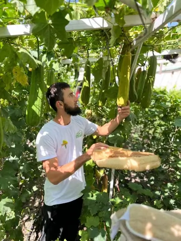 Eco ferma Fazenda