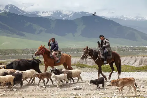 transhumance_june