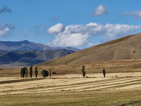 Fields near Ak-Bulung village at the bottom of Turgen Ak-Suu valley, in autumn, yellow grass and green trees